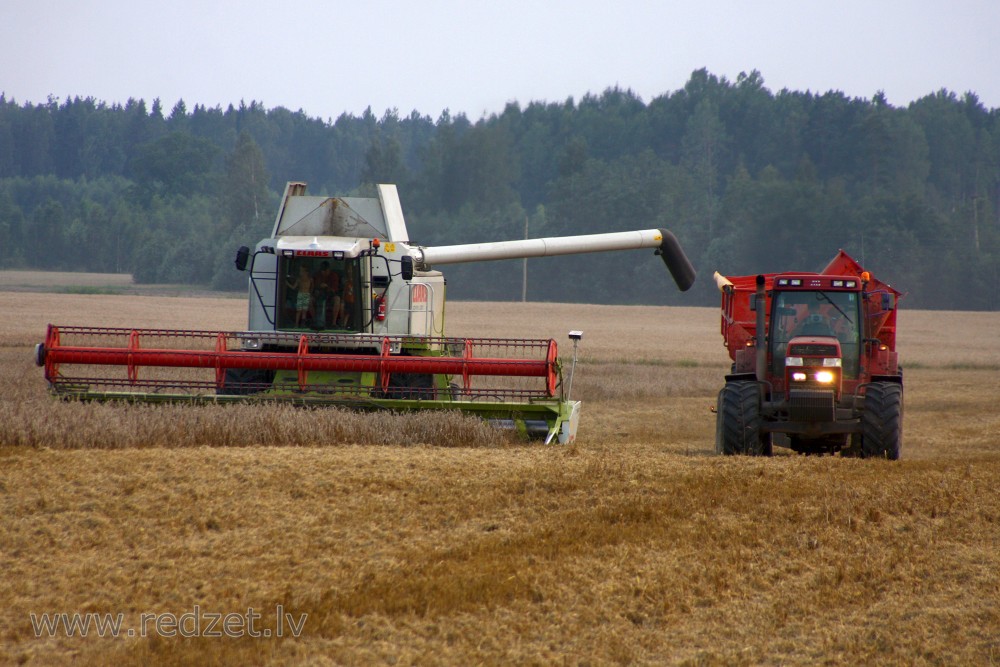 Harvesting with a Combine