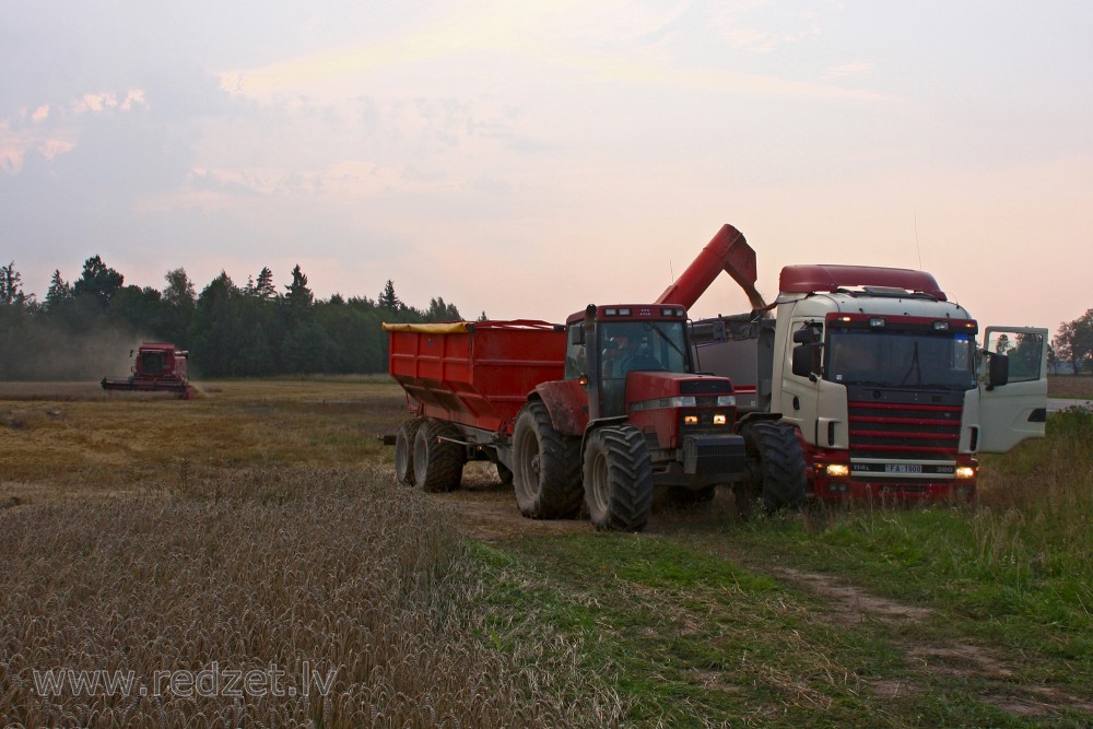 Grain Harvesting