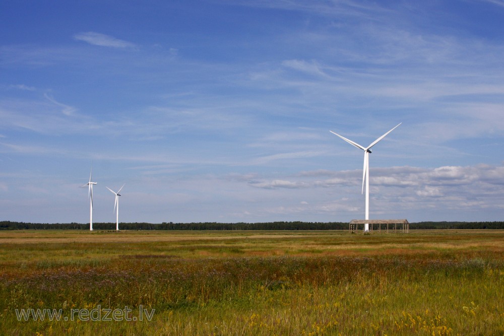 Wind Turbines in the Meadows of Platene