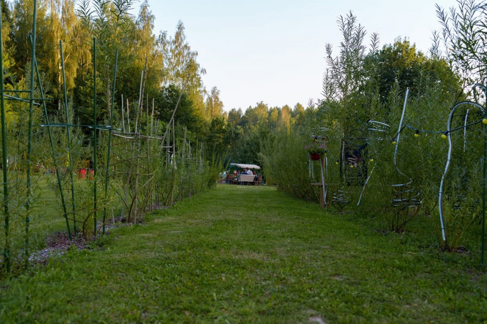 Mēbeļu audzētava Meža dizaina dārzs