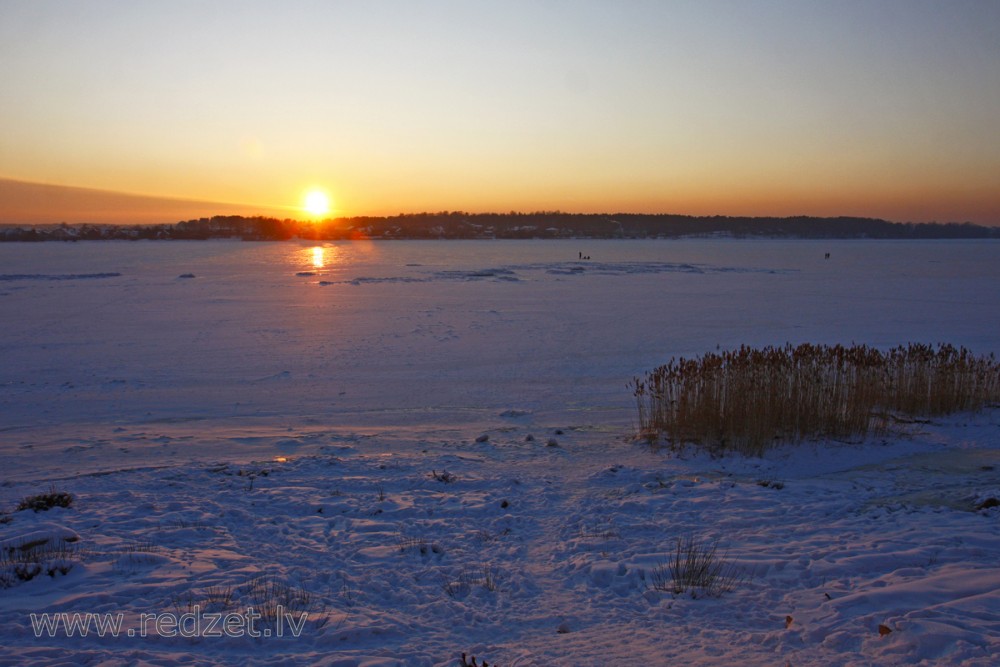 Saulriets Daugavā