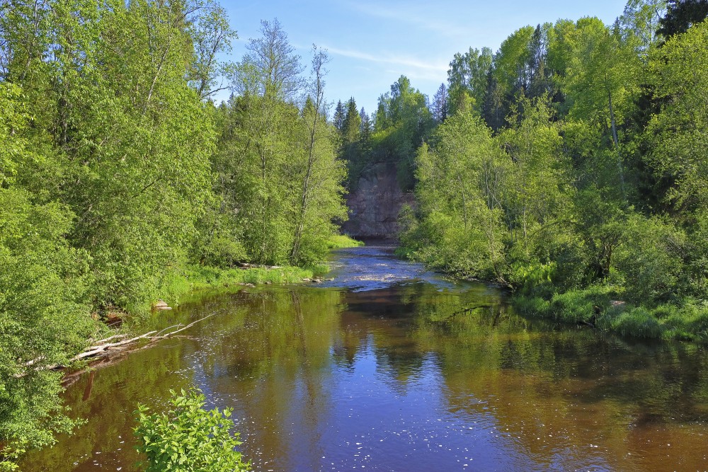 Brasla River Landscape