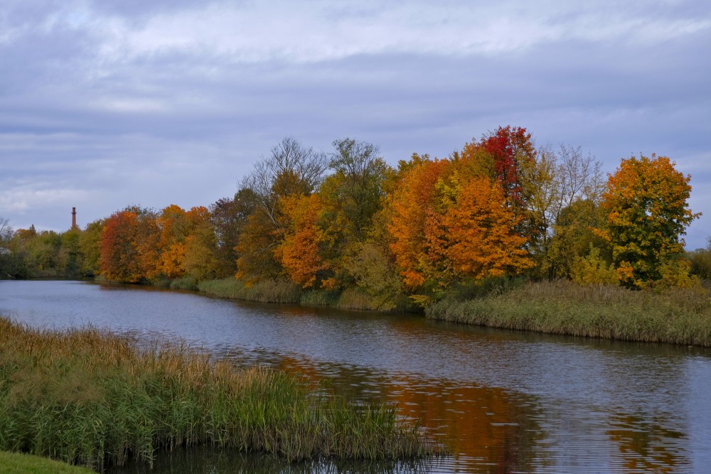 Autumn on Bank of River Driksa