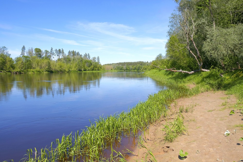 Gauja netālu no Vangažiem Gauja netālu no Vangažiem