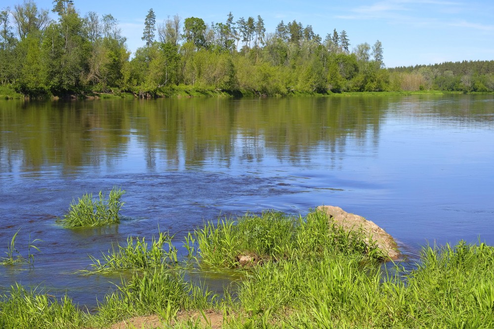 Gauja netālu no Vangažiem Gauja netālu no Vangažiem