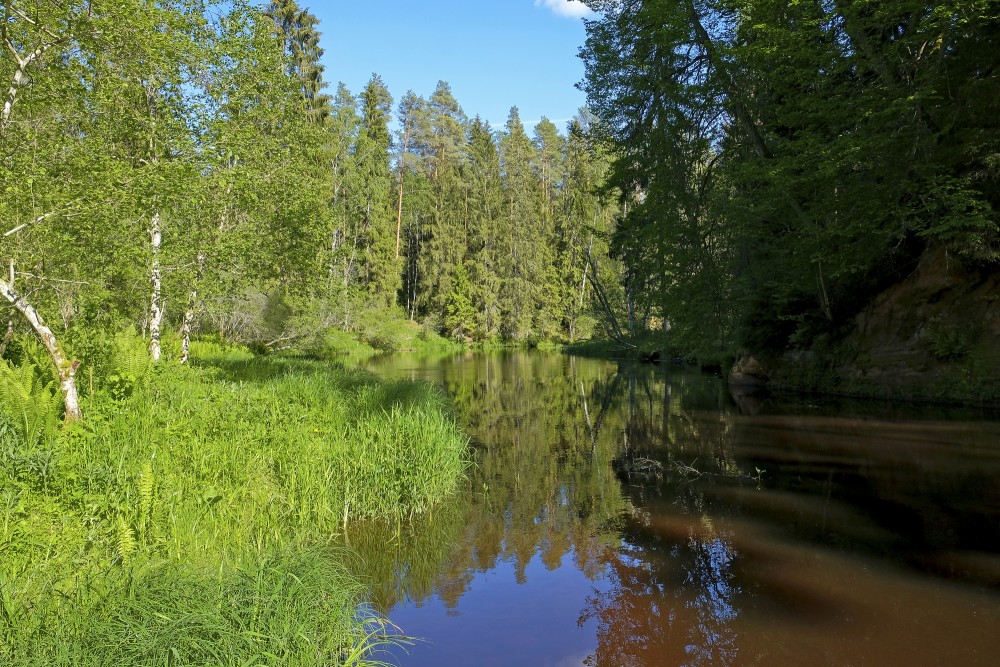 Brasla River Behind Slūnu Rock