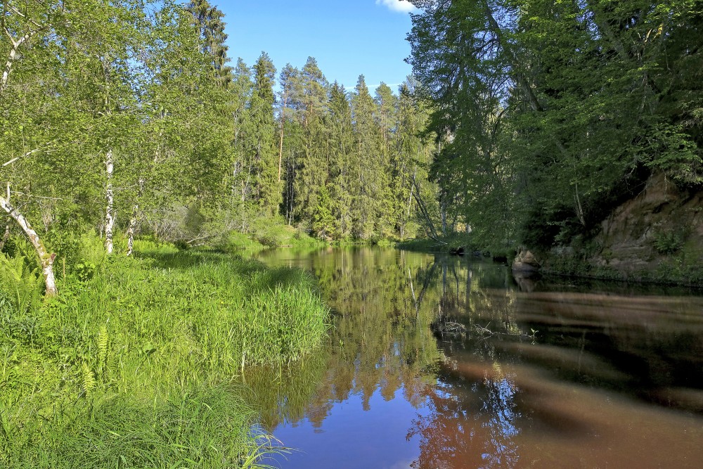 Brasla River Behind Slūnu Rock