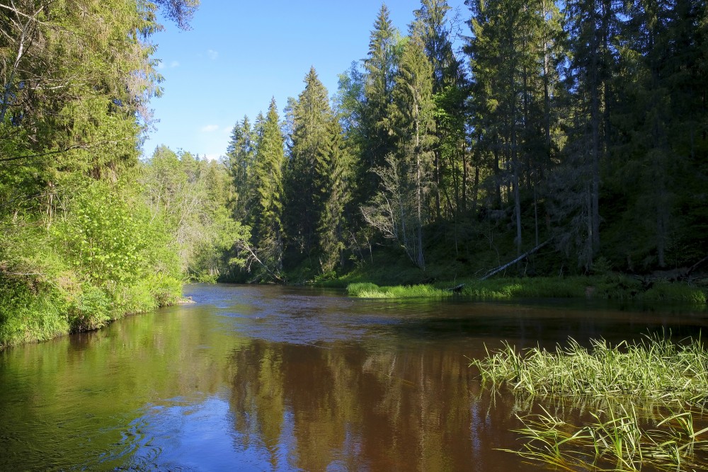 Brasla River Behind Black Rock