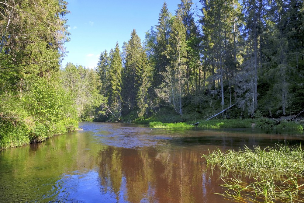Brasla River Behind Black Rock