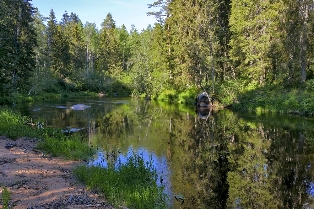 Brasla River Behind Virtaka Rock
