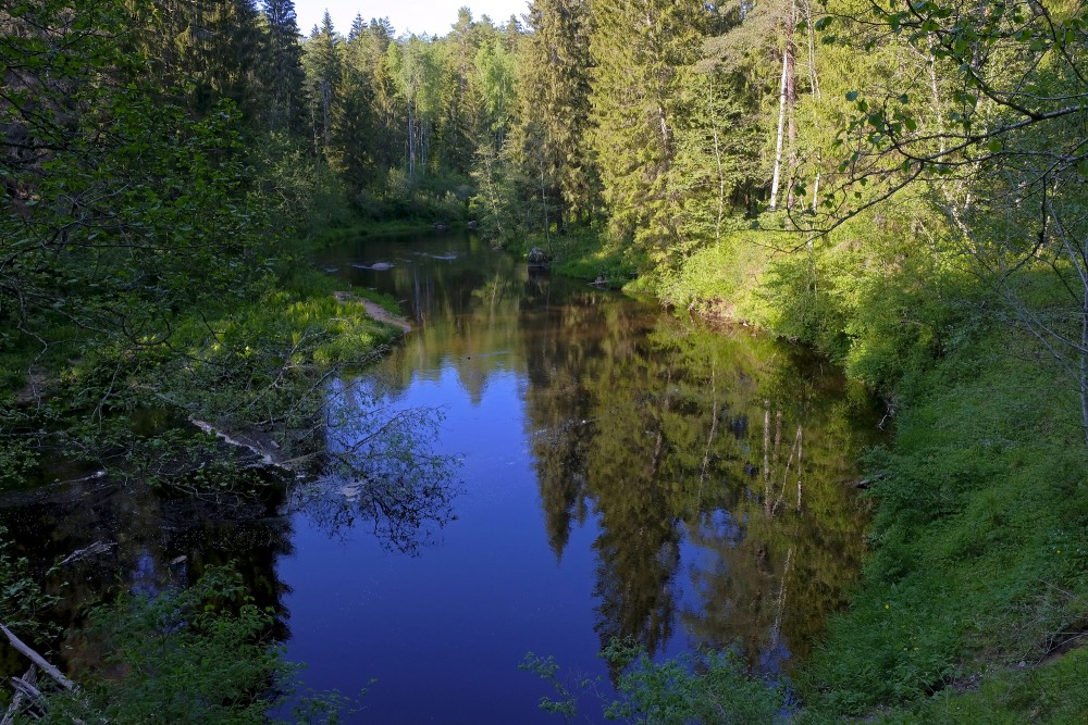 Brasla River Landscape