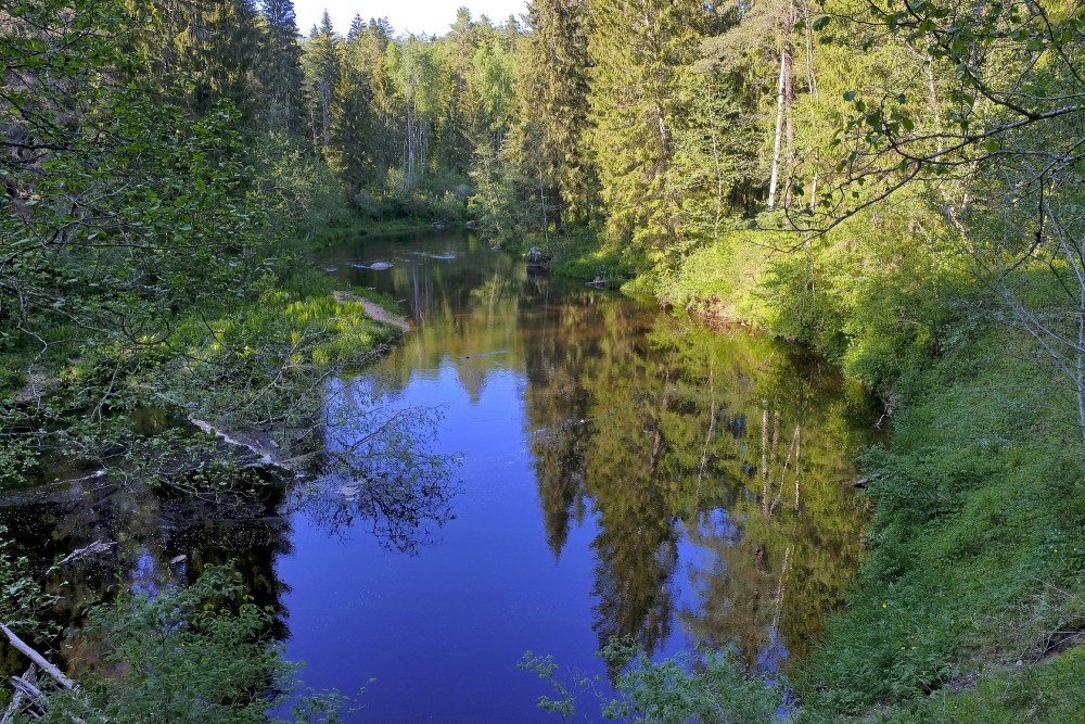 Brasla River Landscape