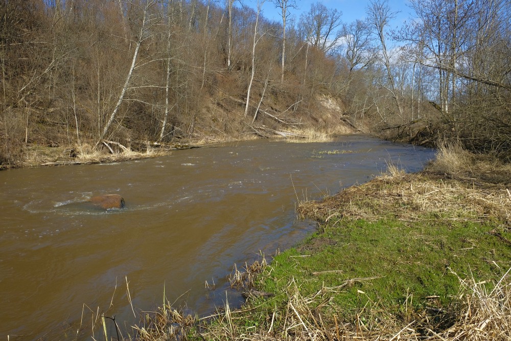 Lanksēde Devil’s Foot Stone In Imula River