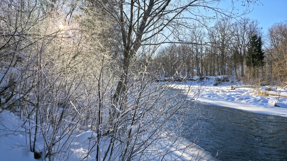 Winter river with frosted trees on a sunny day