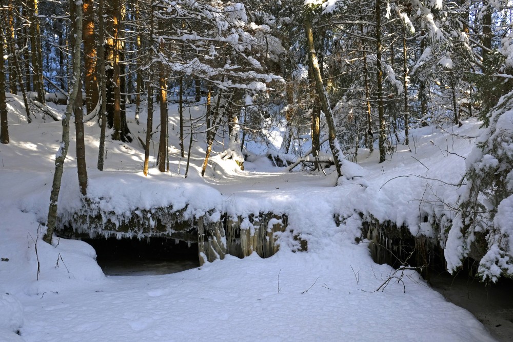 Oļupīte Waterfall in Winter