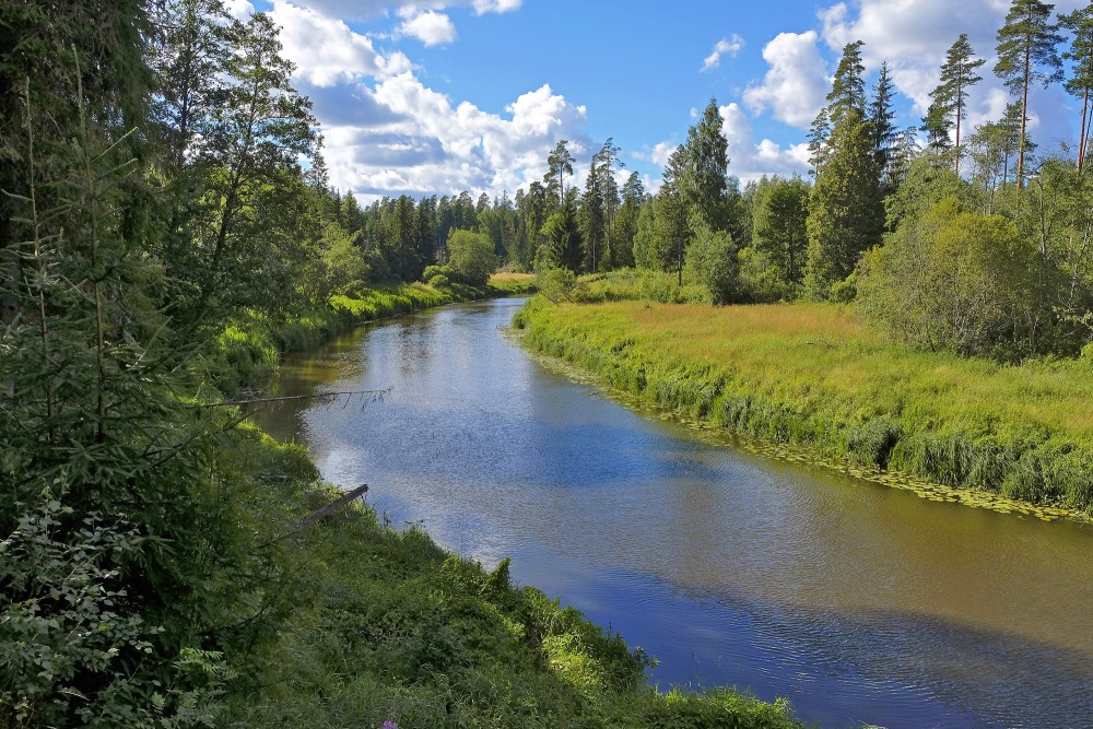 Salaca pie Dauģēnu klintīm