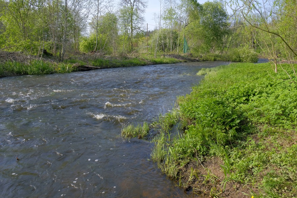 Imula (River)