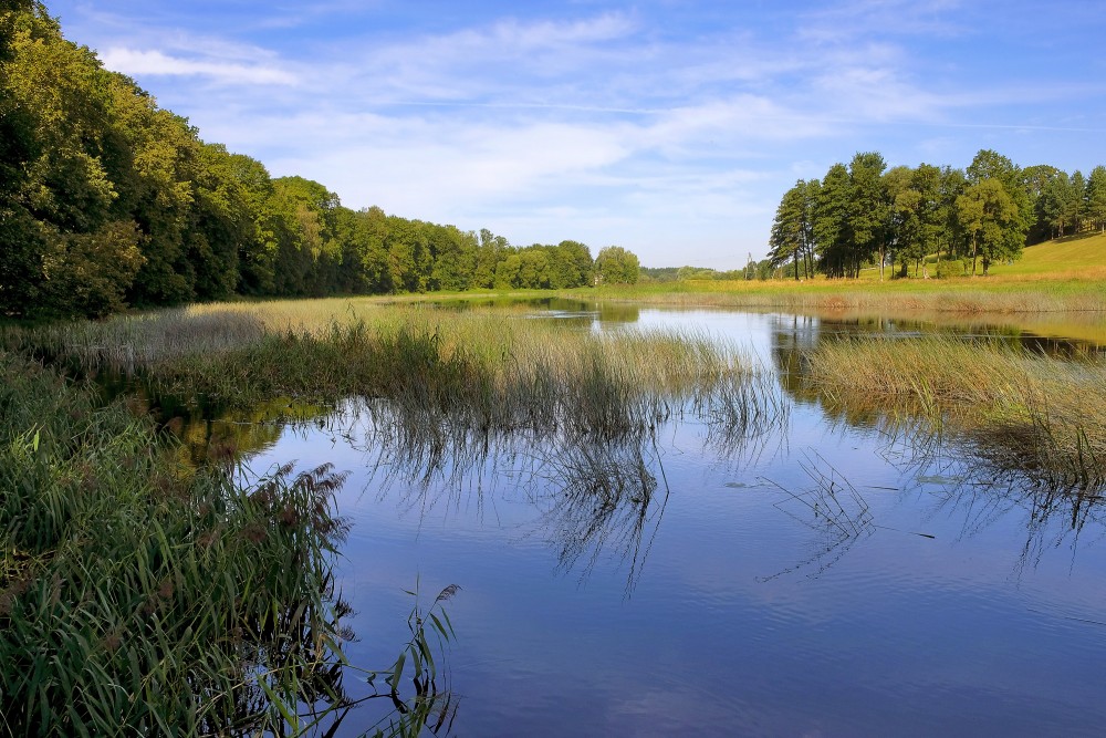 Mūsa pie Pamūšas muižas