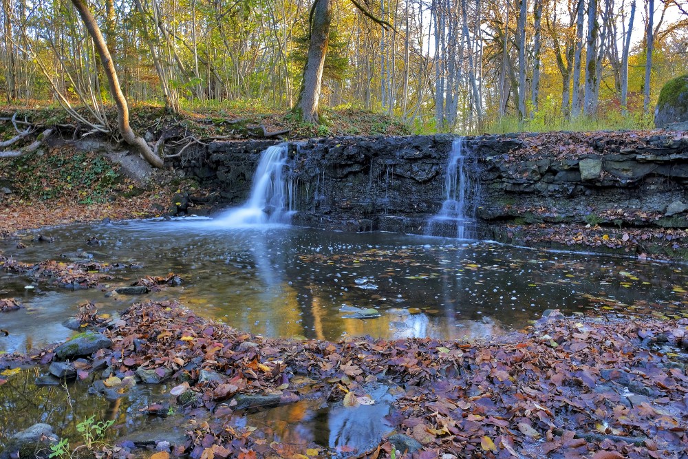Īvandes rumba Rudenī