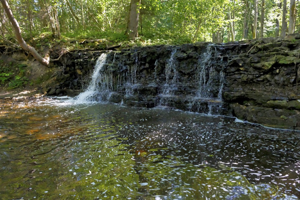 Īvandes rumba vasarā Īvandes rumba vasarā