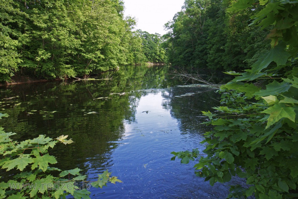 Rumbiņas ieteka Daugavā