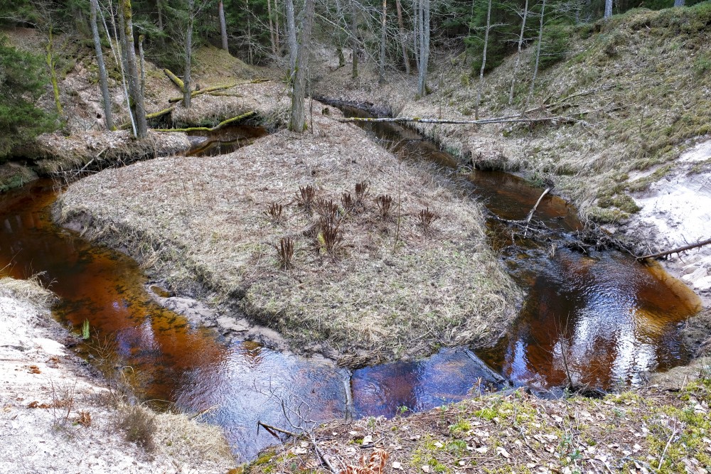 Pitragupe Landscape in Spring