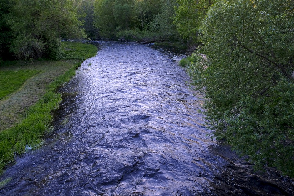 River Iecava
