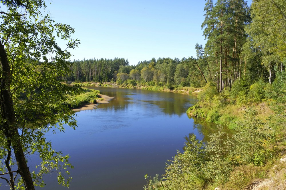 Gauja pie Liepas ieža
