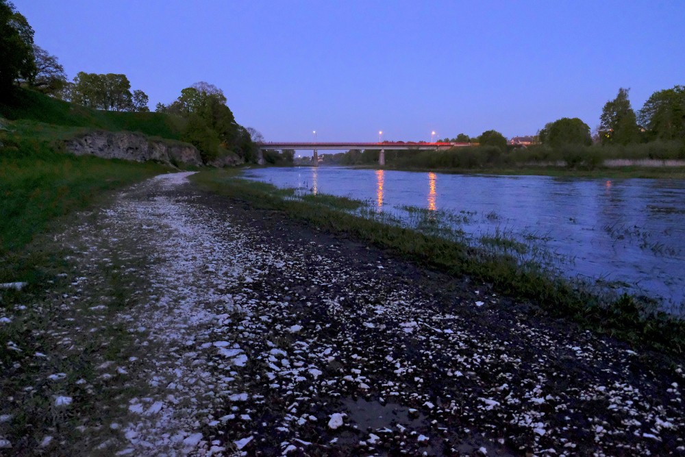 Mūsa pie Bauskas naktī