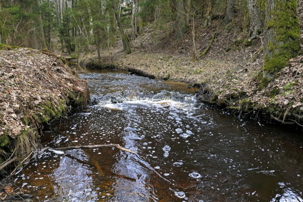 A small Waterfall on Pitragupe River