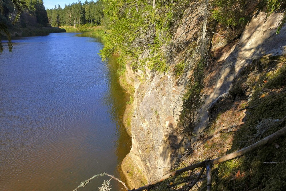 Liepas iezis (Baltā klints, Ozolu iezis)
