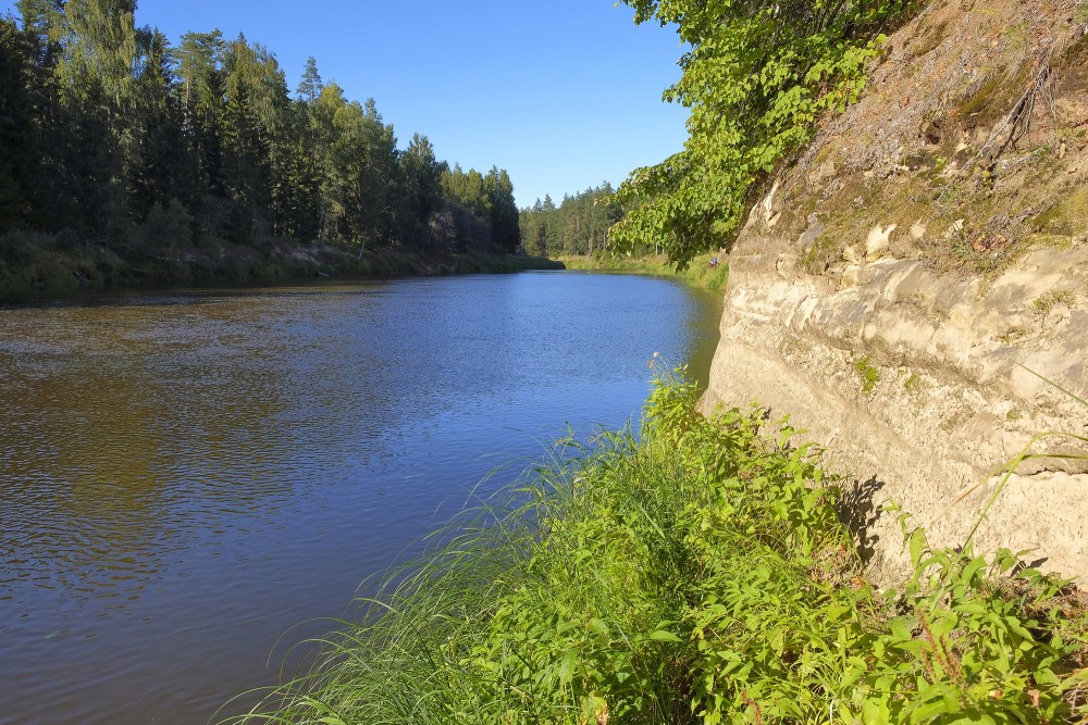 Liepas iezis (Baltā klints, Ozolu iezis)
