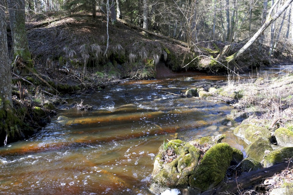 Pitragupe Landscape in Spring