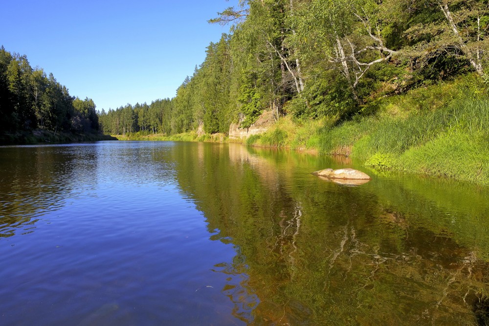 Gauja pie Liepas ieža