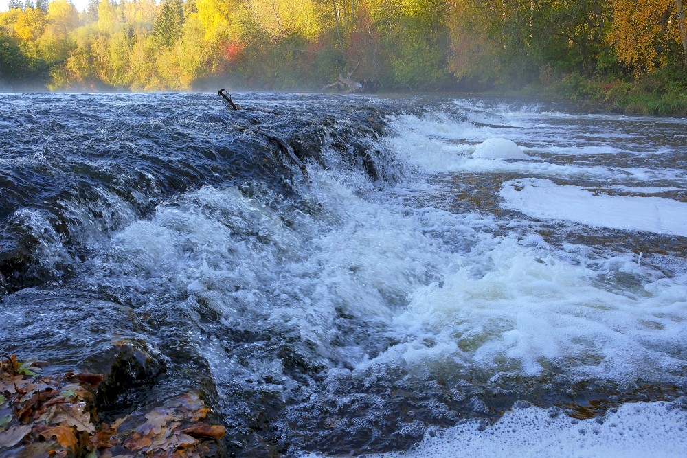 A Close-up of the Abava Rumba Waterfall