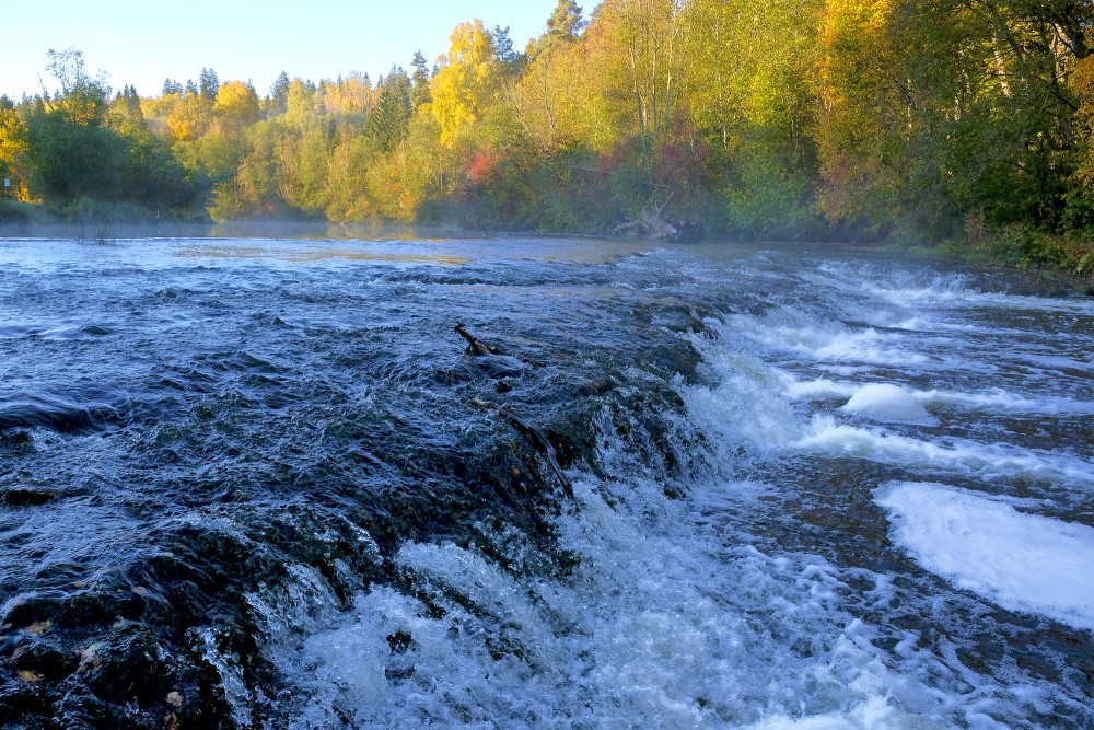 Waterfall on Abava River ("Abavas rumba")