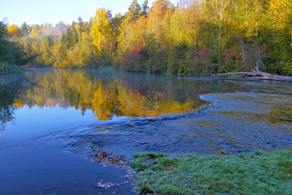Abava River, Autumn, Reflection in Water