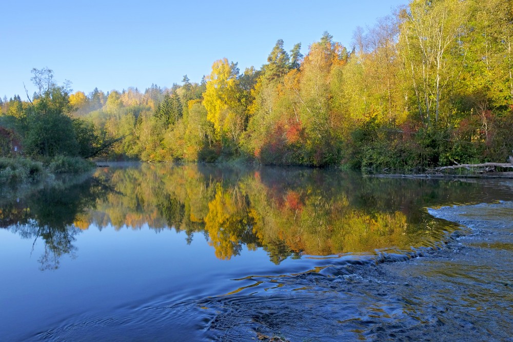 Abava River, Autumn, Reflection in Water