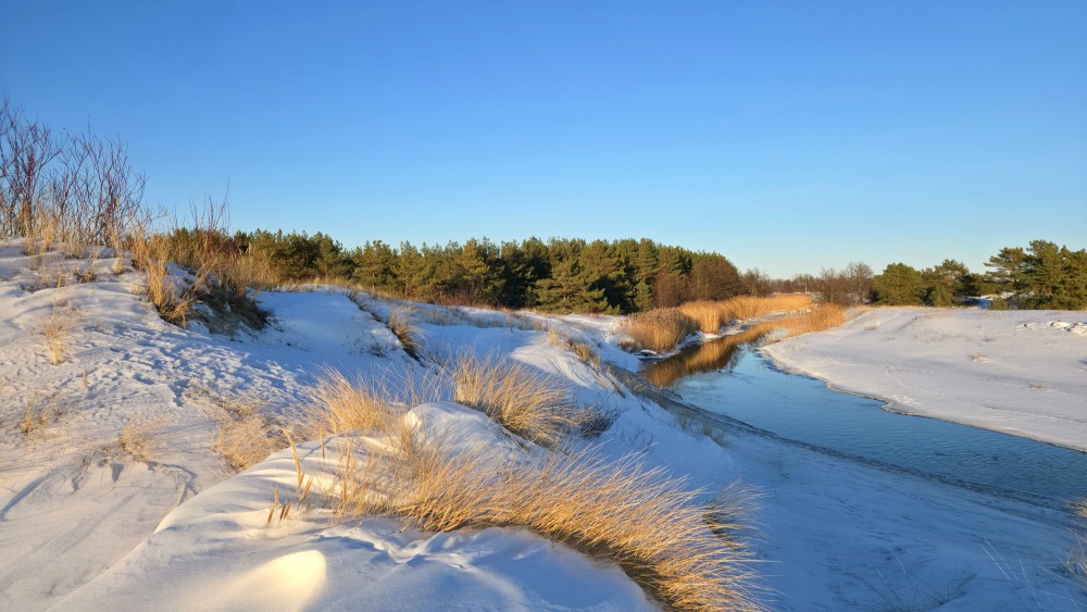 Winter landscape with snow-covered dunes and Pape canal at sunset