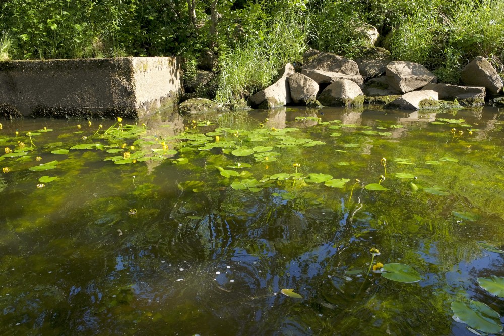 Pāces upe tūlīt aiz Pāces dīķi Pāces upe tūlīt aiz Pāces dīķi