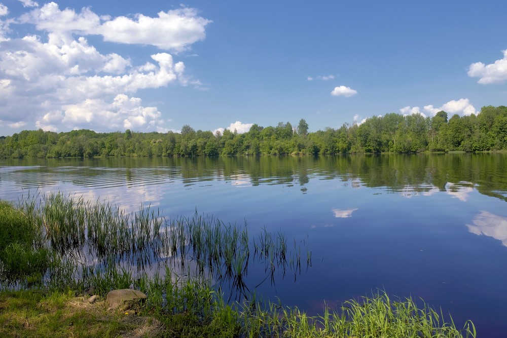 Daugava pie Jaunjelgavas