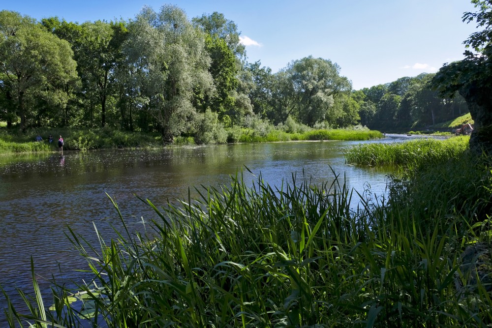 Mēmele River Near Bauska