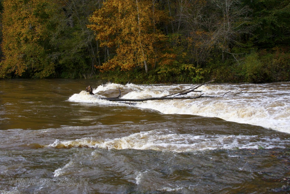 Waterfall on Abava River ("Abavas rumba")