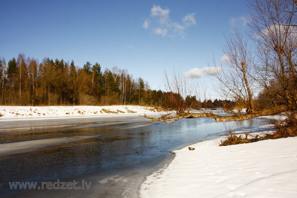 Gauja pie Cēsīm