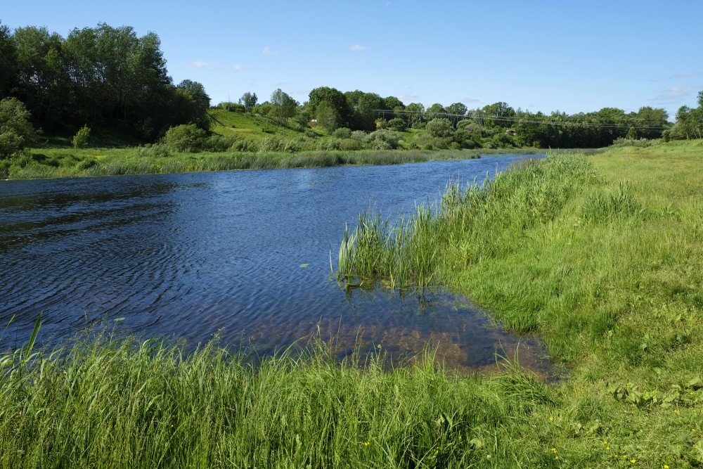 Mūsa River Before The Beginning Of Lielupe