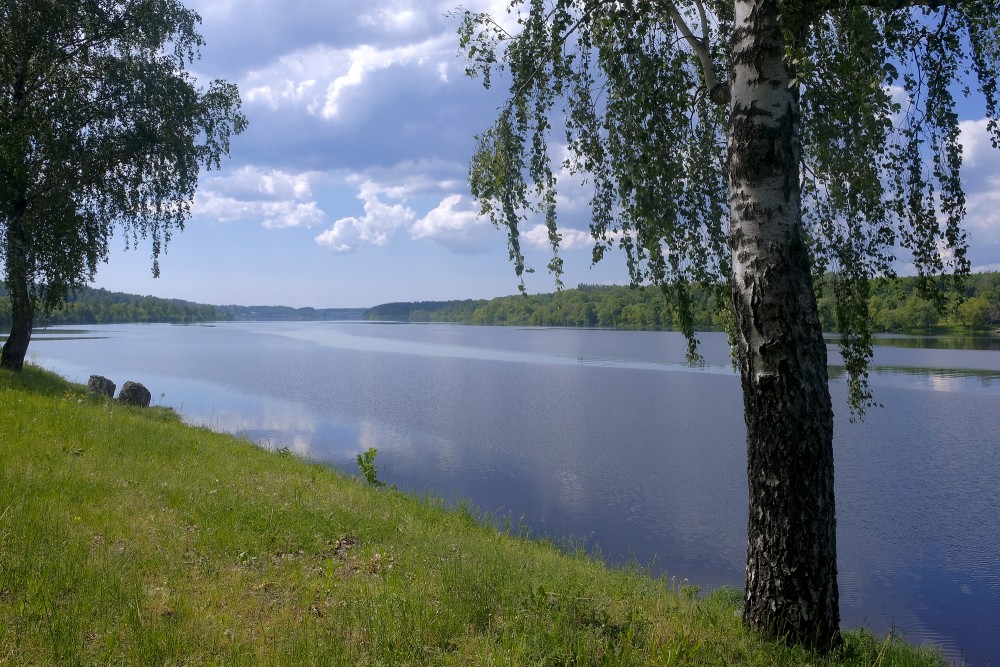 Daugava pie Jaunjelgavas