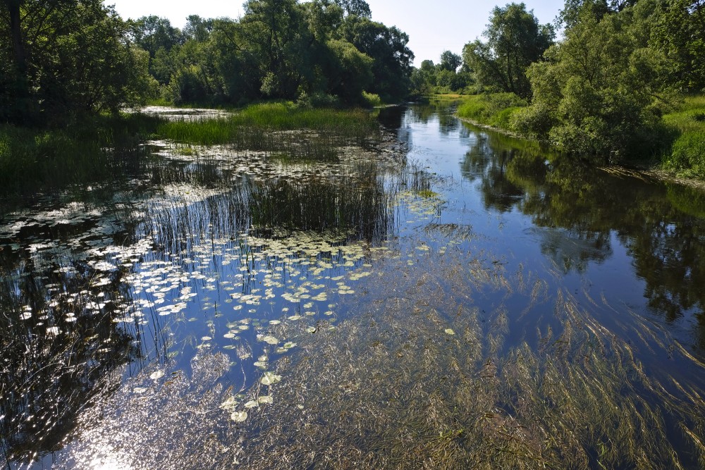 Dubnas upe pie Kalvānu laipas