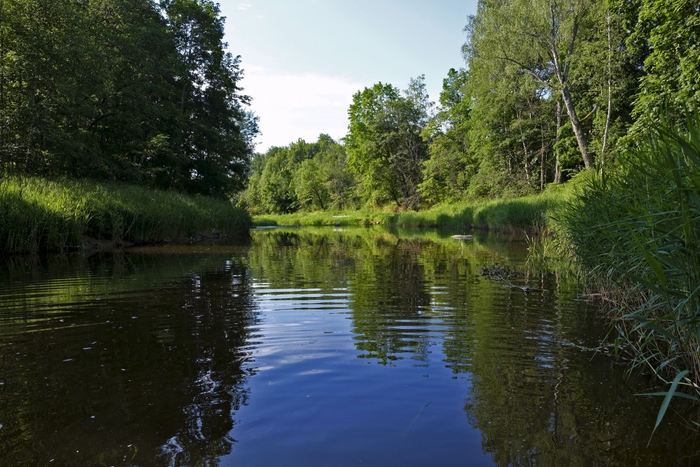 Ogre River near Dullais Dauka Nature Trail