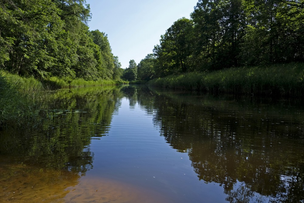 Ogre River near Dullais Dauka Nature Trail