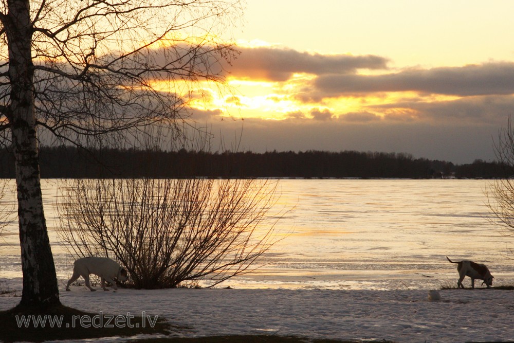 Daugava pie Ikšķiles